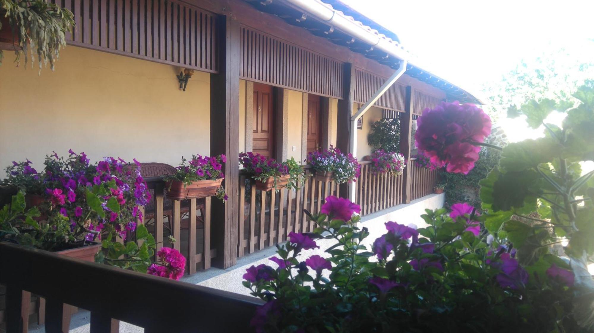 Agroturismo Quinta Dom Jose Braga Ngoại thất bức ảnh